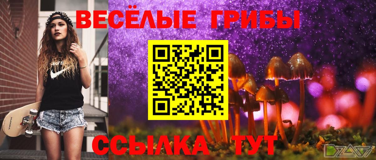 Галлюциногенные грибы Cubensis  Будённовск  Псилоцибиновые грибы ЛСД 