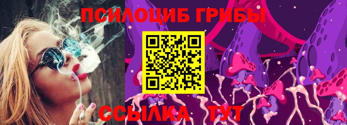 Псилоцибиновые грибы прущие грибы Будённовск